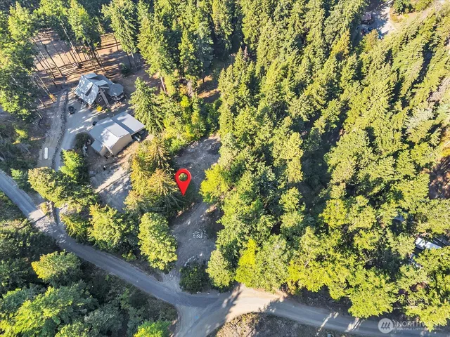 a picture of flowers