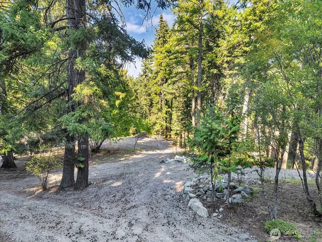 a view of outdoor space and trees