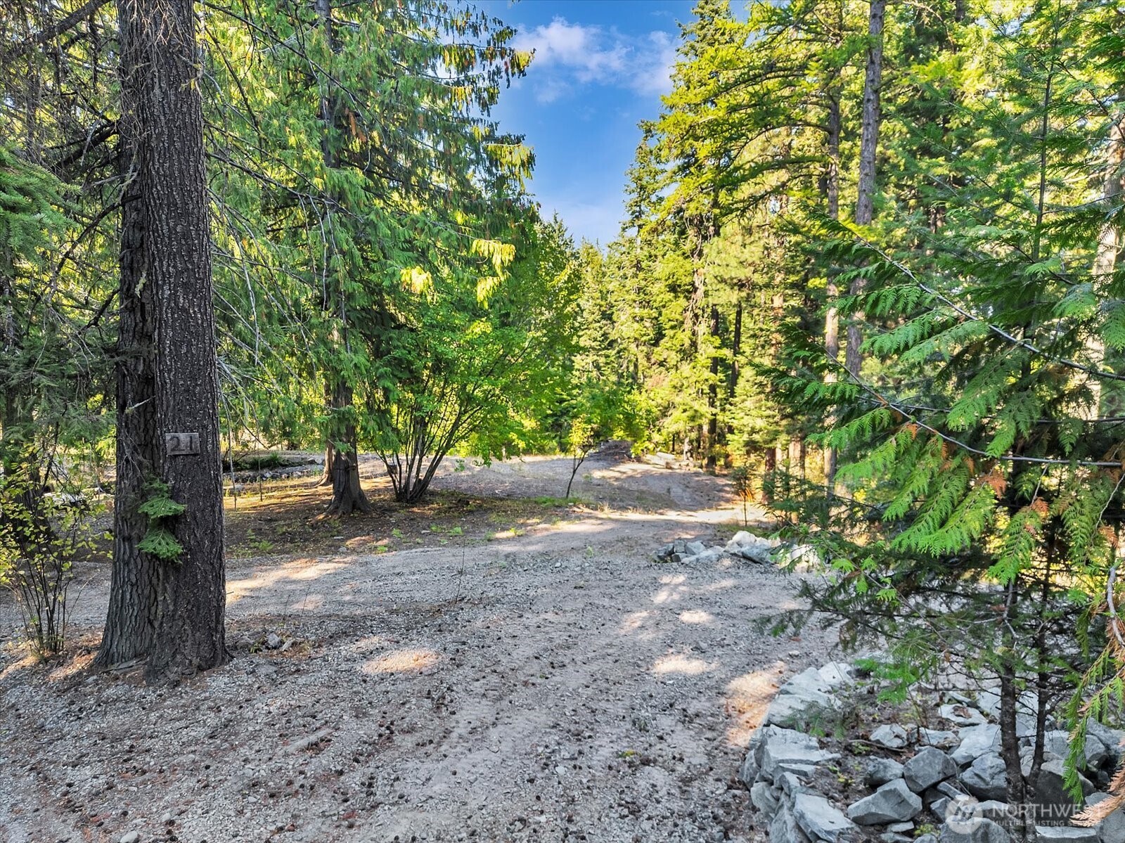 21 Grange Springs Road Cle Elum, WA 98922 - Photo 9 of 31 a view of a tree in the middle of a yard