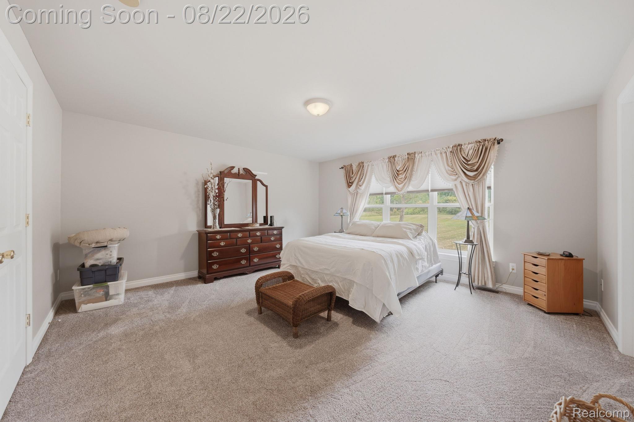 1301 Palms Road Columbus, MI 48063 - Photo 29 of 51 Carpeted flooring, neutral wall tones, window with natural light, ceiling-mounted light fixture, and a white interior door