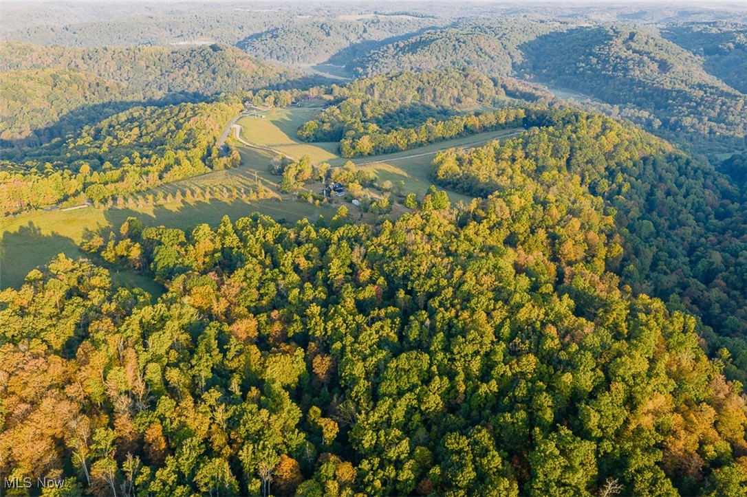 5991 Sandy Ridge Road Southeast Tippecanoe, OH 44699 - Photo 13 of 34 Aerial overview of property's location featuring a heavily wooded area