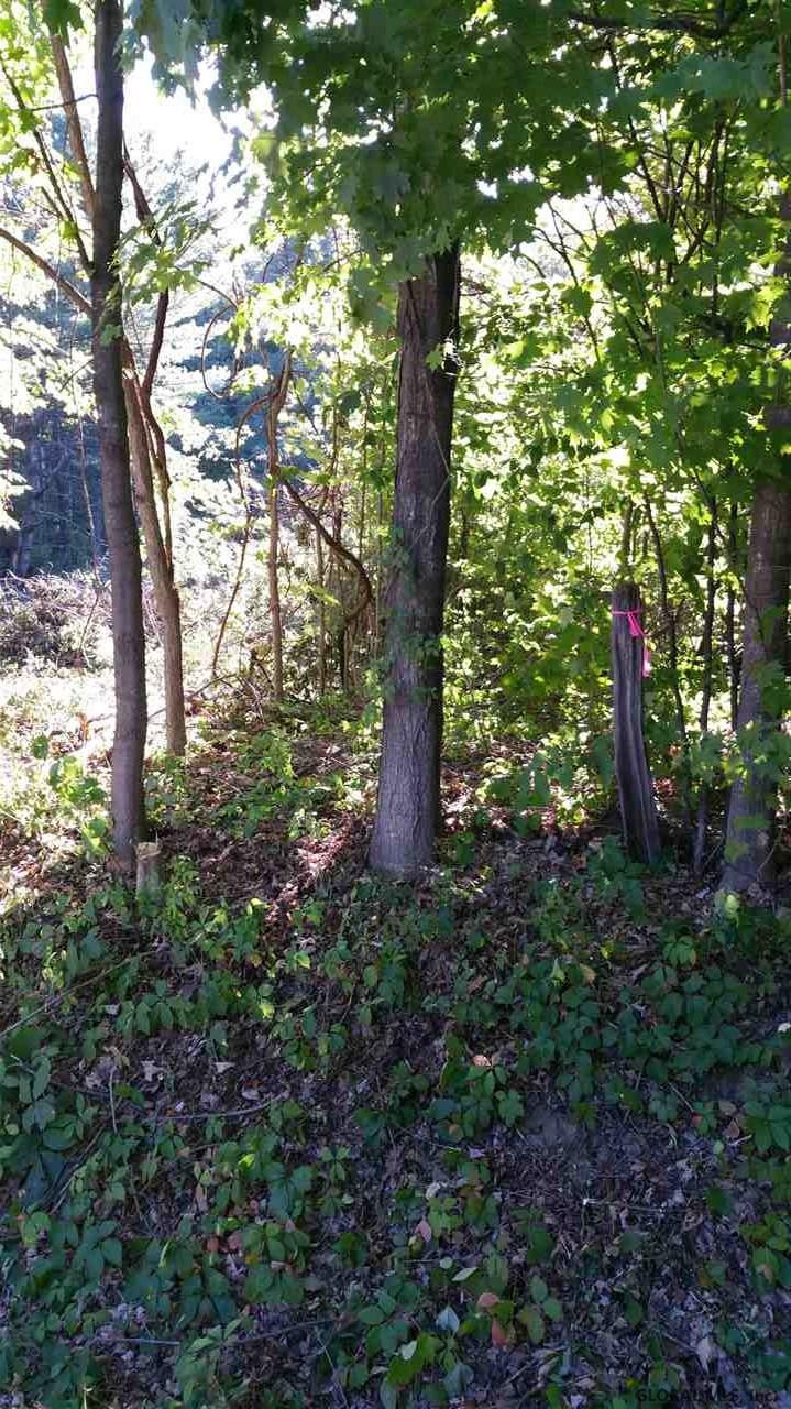 Lot2 Ernst Road Wilton, NY 12831 - Photo 3 of 17 Photo 3