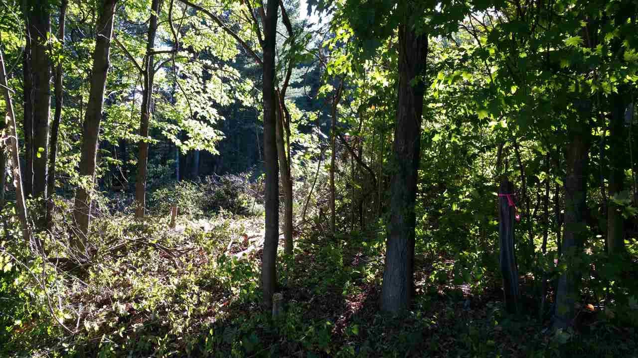 Lot2 Ernst Road Wilton, NY 12831 - Photo 4 of 17 Photo 4
