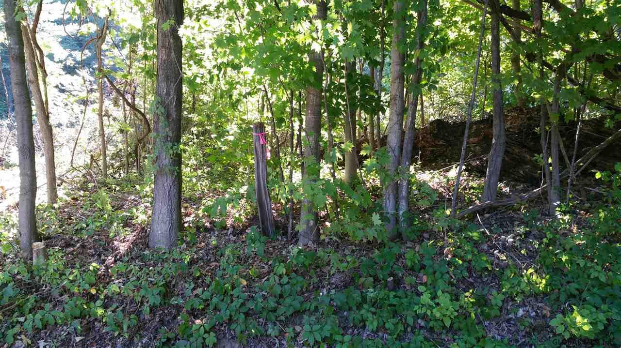 Lot2 Ernst Road Wilton, NY 12831 - Photo 5 of 17 Photo 5
