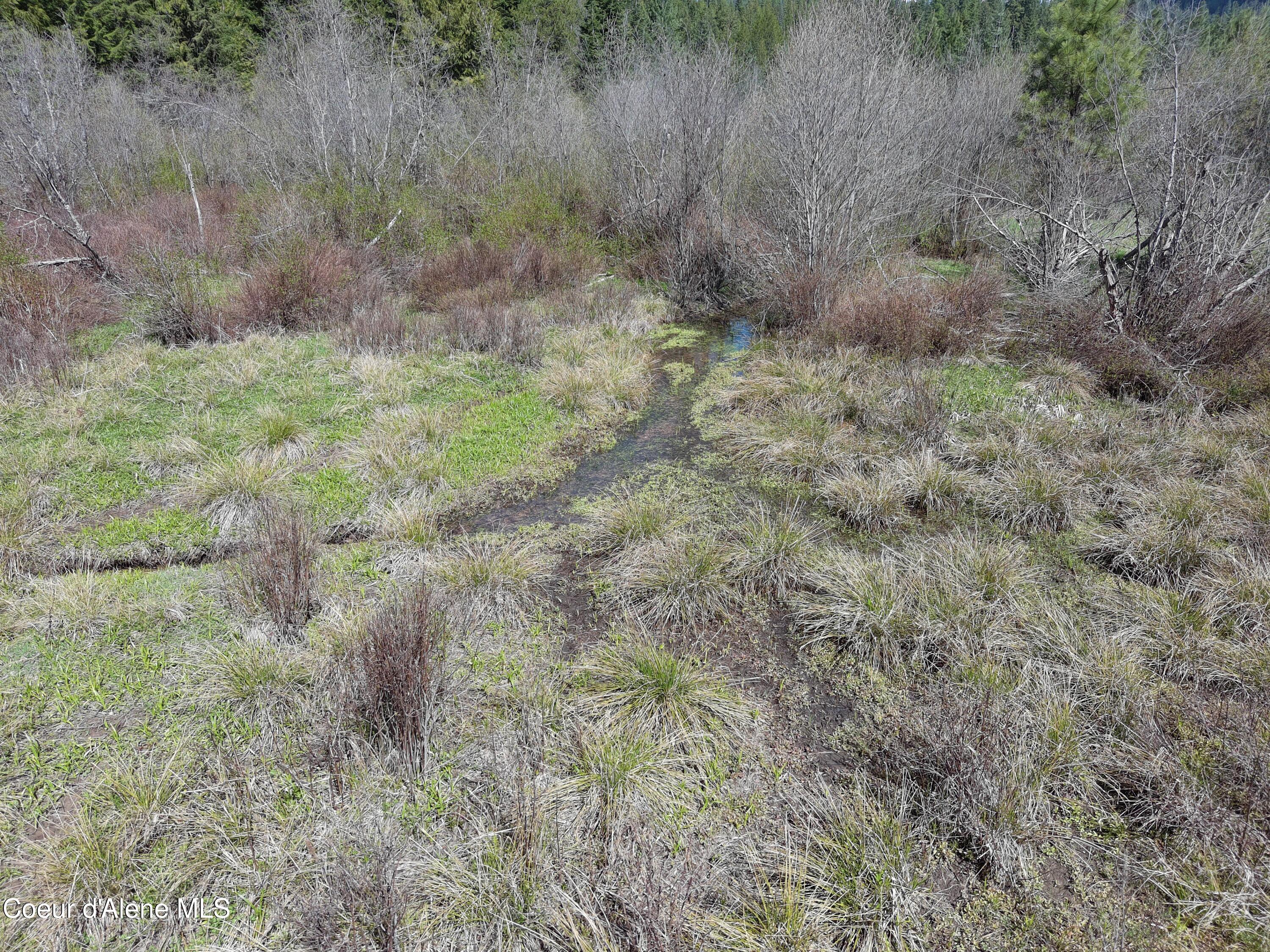 Carlin Creek Road, Unit 256 Harrison, ID 83833 - Photo 23 of 31 MAX_0028
