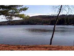 - Remick Road Effingham, NH 03882 - Photo 2 of 4
