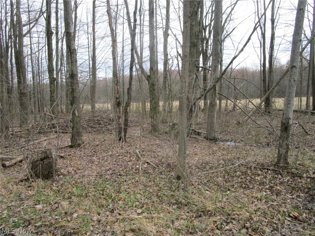 4381 Higley Road Rome, OH 44085 - Photo 23 of 41