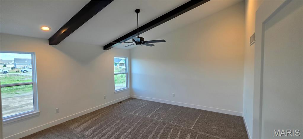 308 Rumsfeld Drive Troy, IL 62294 - Photo 16 of 84