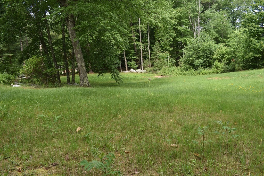 371 Worcester Road Charlton, MA 01507 - Photo 8 of 35 a backyard of a house with trees and plants