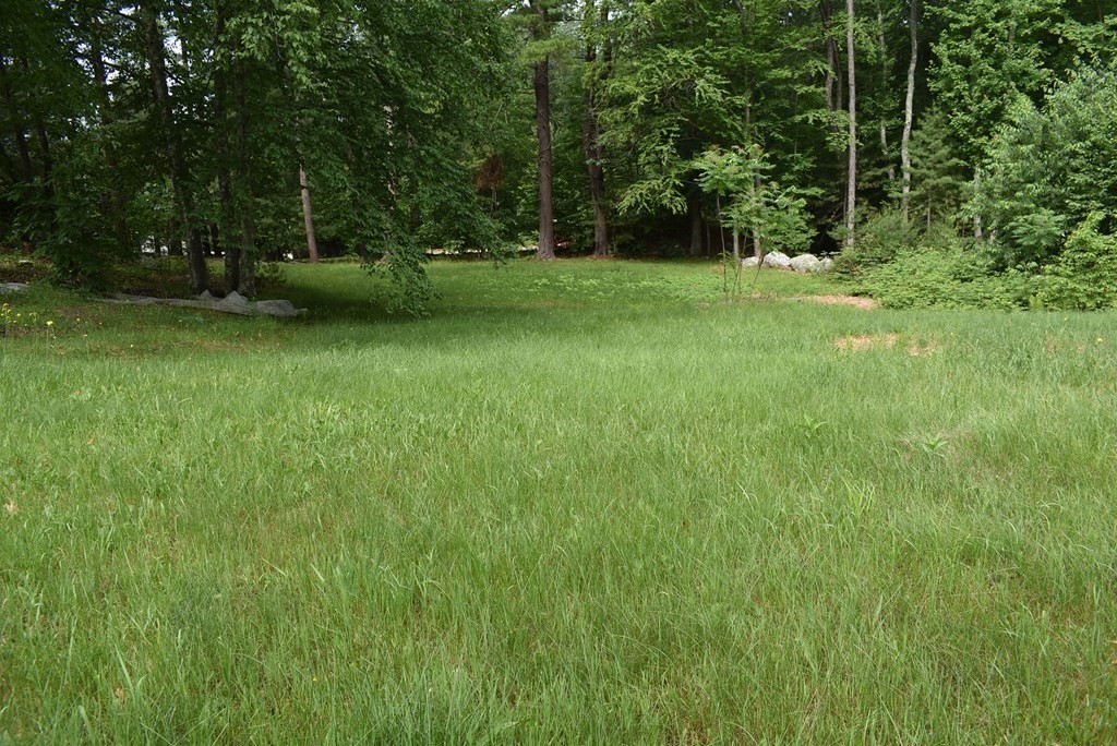 371 Worcester Road Charlton, MA 01507 - Photo 9 of 35 a view of a green field with trees