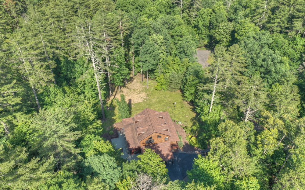48 Brown Bear Path Blue Ridge, GA 30513 - Photo 2 of 4 Additional View