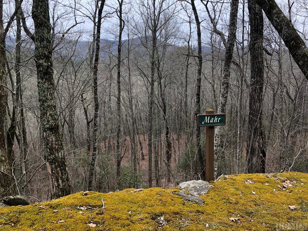 Lot 12 Shepherds Gap Road Cullowhee, NC 28723 - Photo 1 of 3 Gallery Image 1