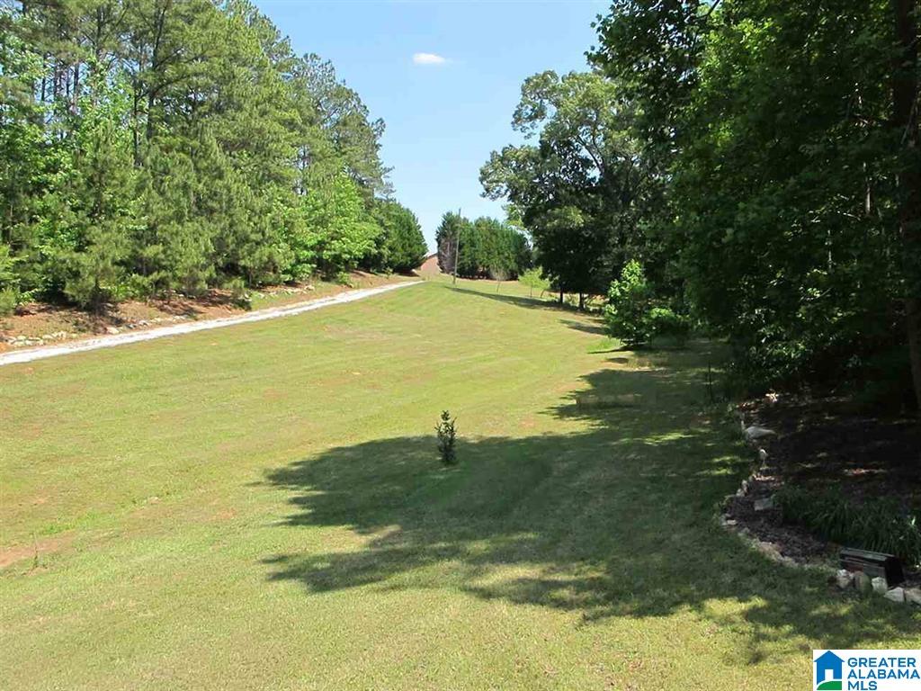 3156 Louina Road Roanoke, AL 36274 - Photo 35 of 37