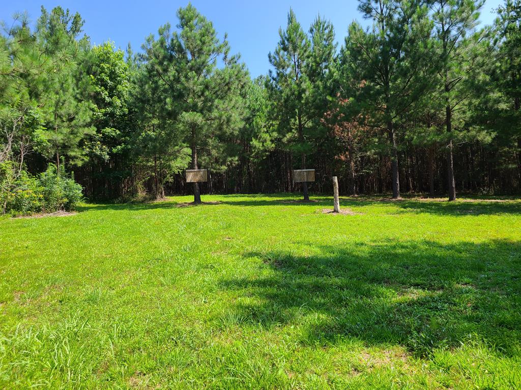 663 Tomlinson Road, Unit 3 Victoria, VA 23974 - Photo 49 of 62 Gallery Image 49