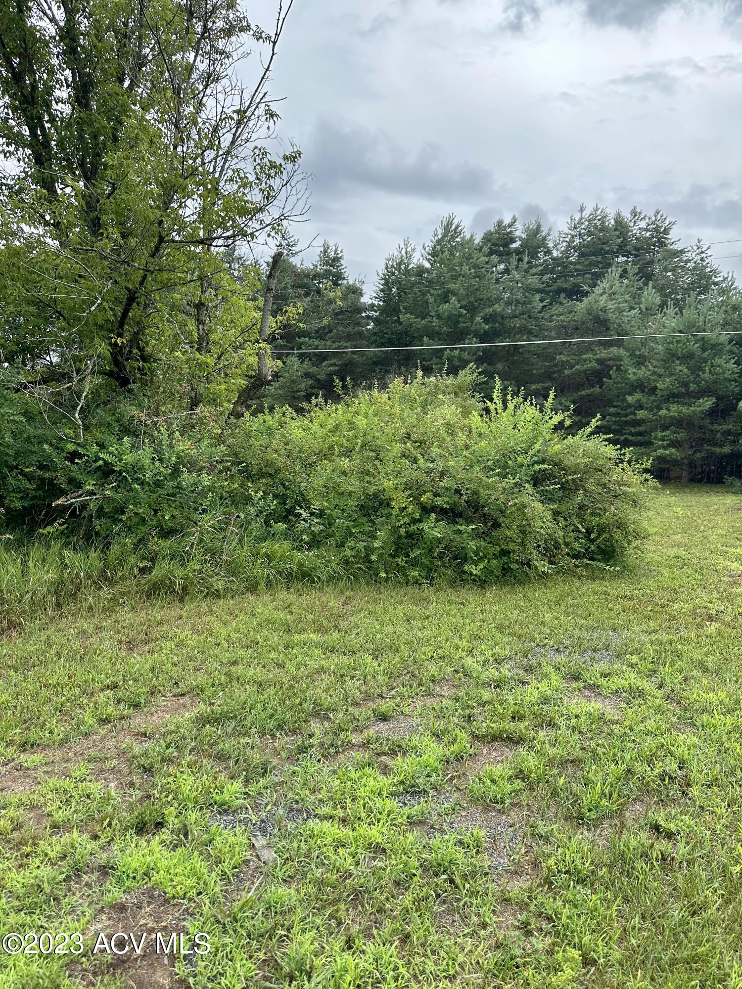 135 Buckwheat Road Moira, NY 12957 - Photo 2 of 12