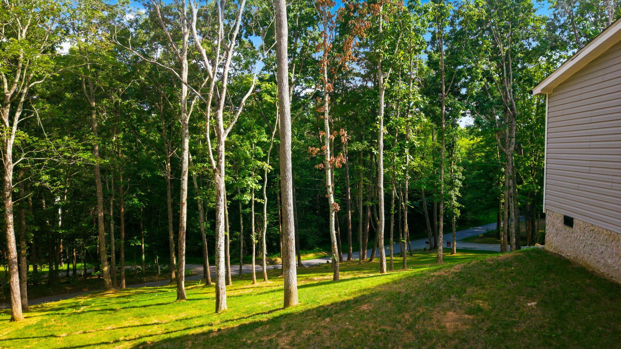 923 Morrison Road Decatur, TN 37322 - Photo 33 of 44 Gallery Image 33