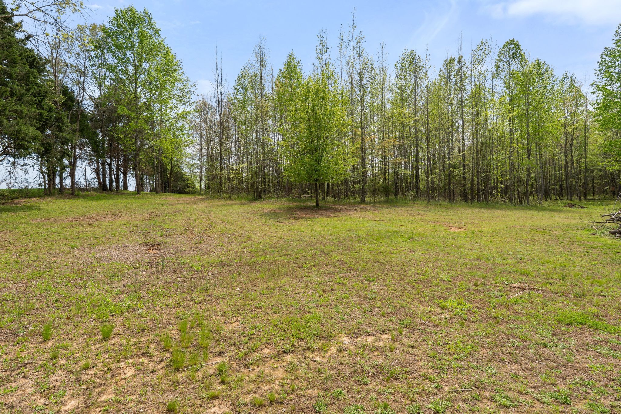 2636 Balthrop Road Pleasant View, TN 37146 - Photo 33 of 63 a view of a field with trees in front of it