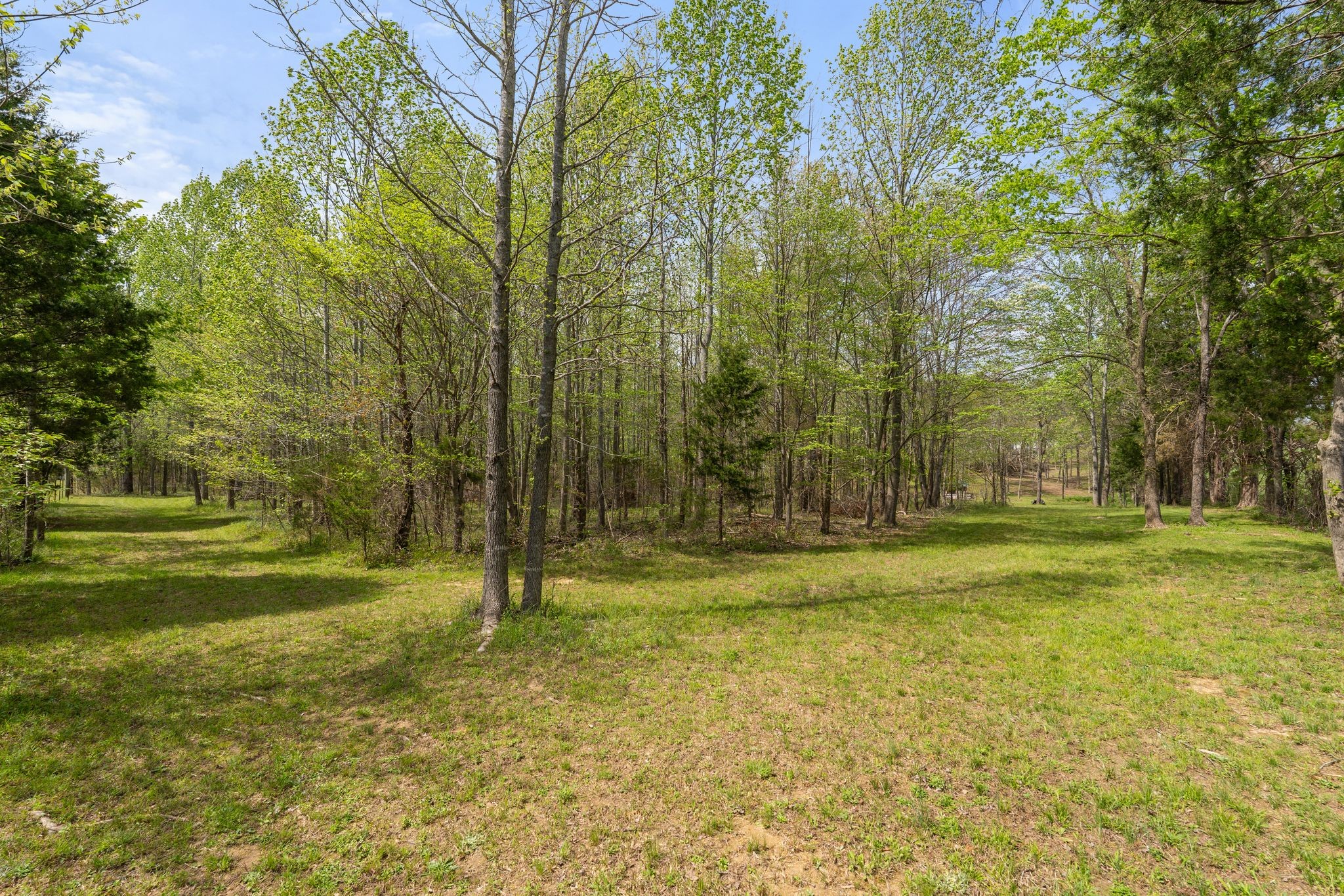 2636 Balthrop Road Pleasant View, TN 37146 - Photo 34 of 63 a view of a park with large trees