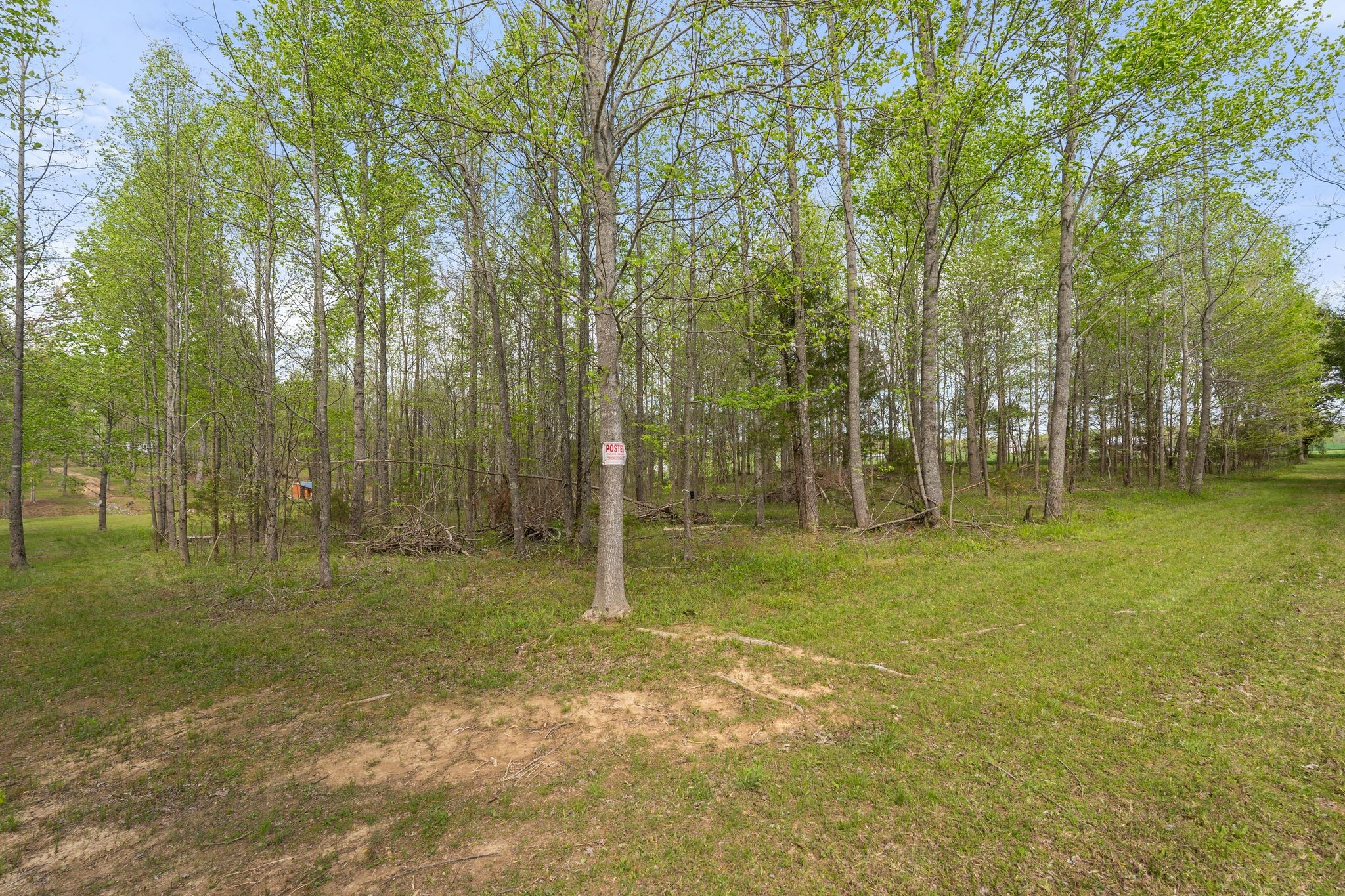 2636 Balthrop Road Pleasant View, TN 37146 - Photo 35 of 63 a view of a trees in a yard