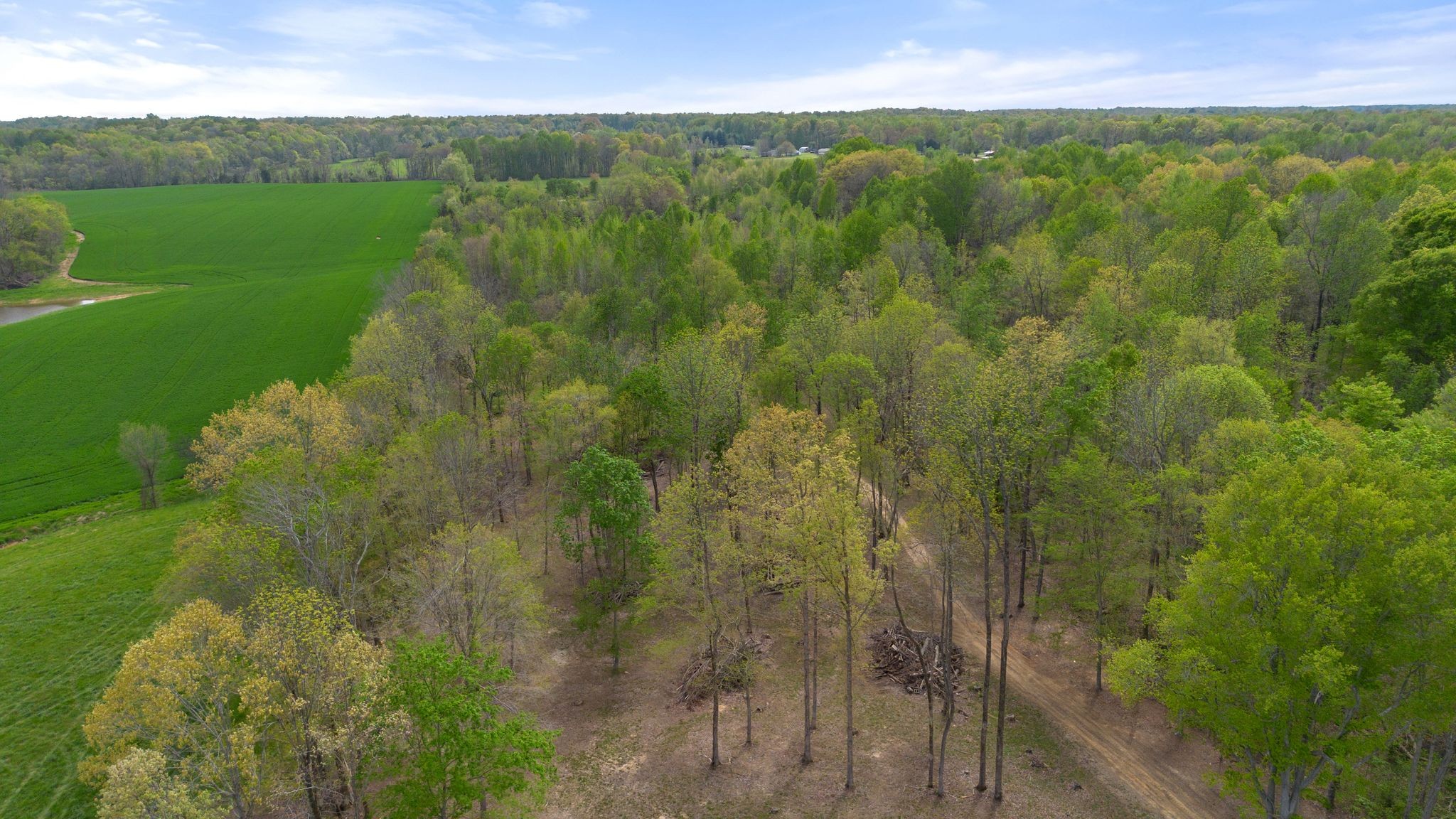 2636 Balthrop Road Pleasant View, TN 37146 - Photo 44 of 63