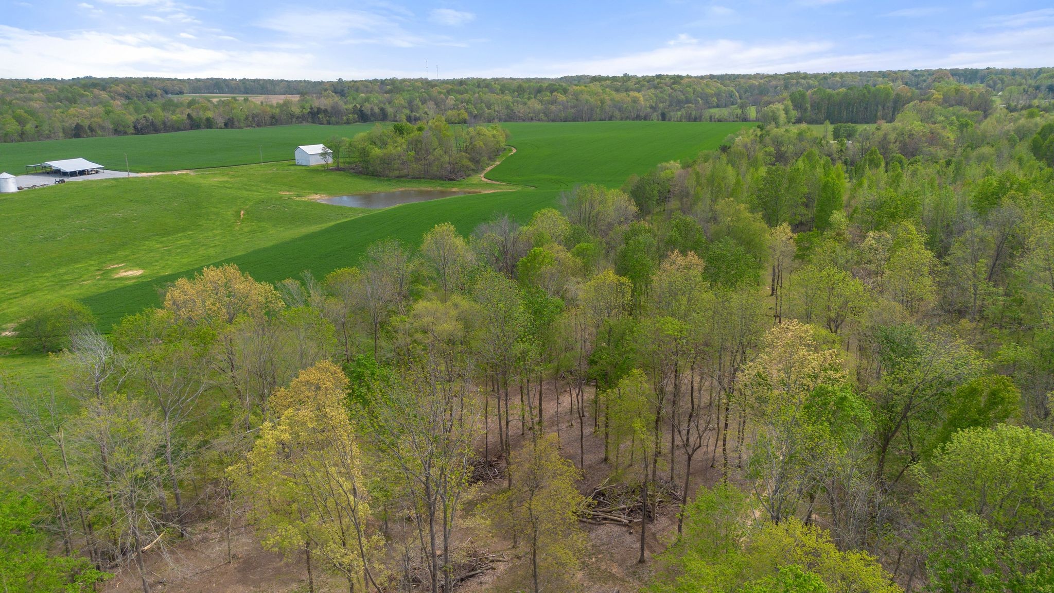 2636 Balthrop Road Pleasant View, TN 37146 - Photo 45 of 63