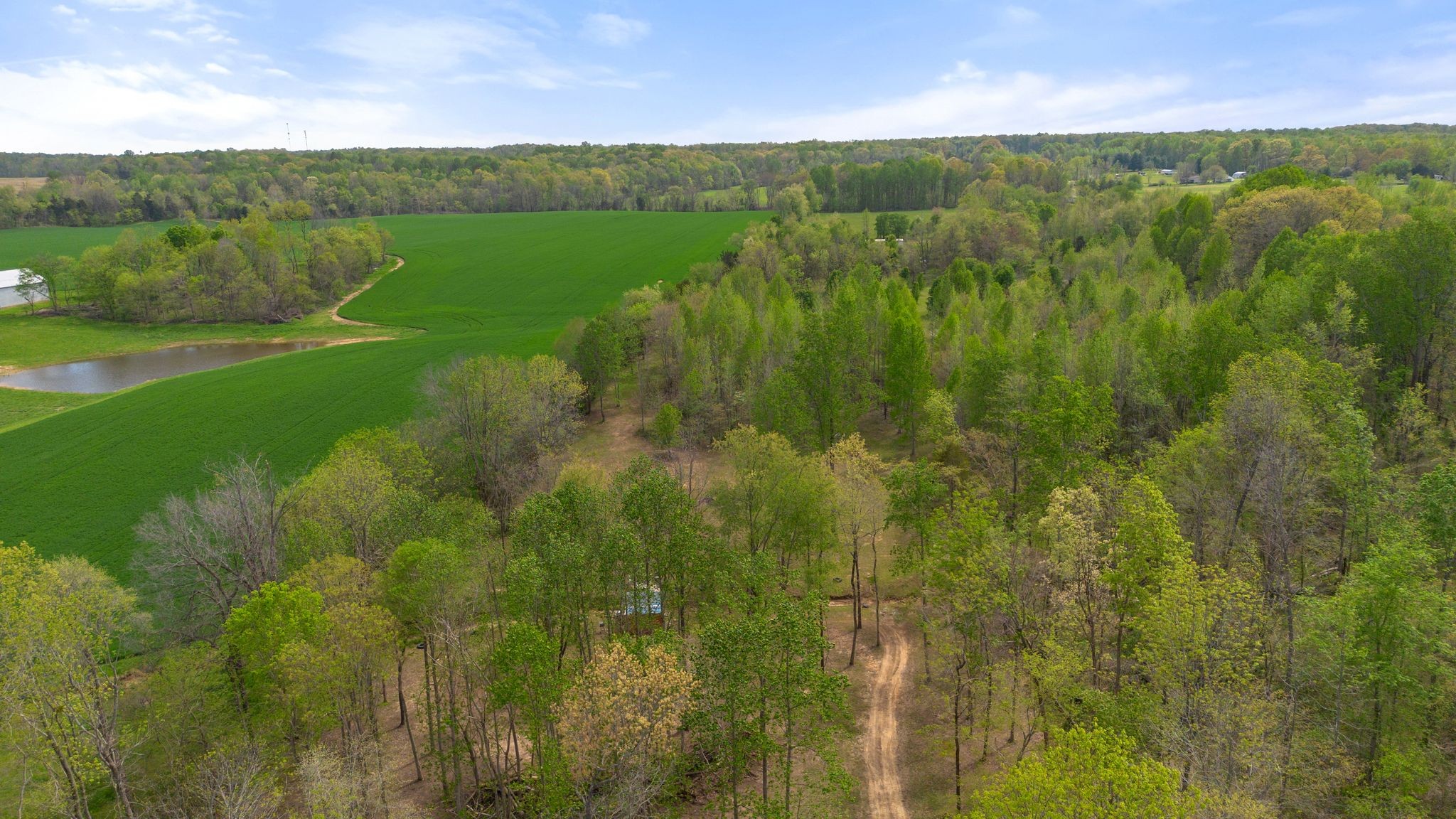 2636 Balthrop Road Pleasant View, TN 37146 - Photo 46 of 63 a view of a lush green outdoor space with a lake view