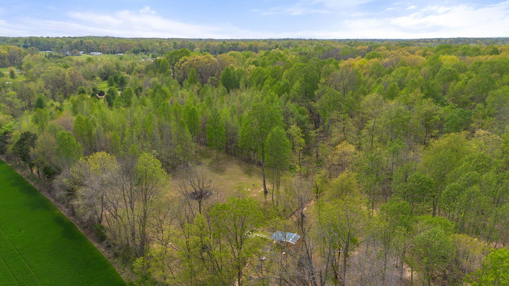 2636 Balthrop Road Pleasant View, TN 37146 - Photo 47 of 63