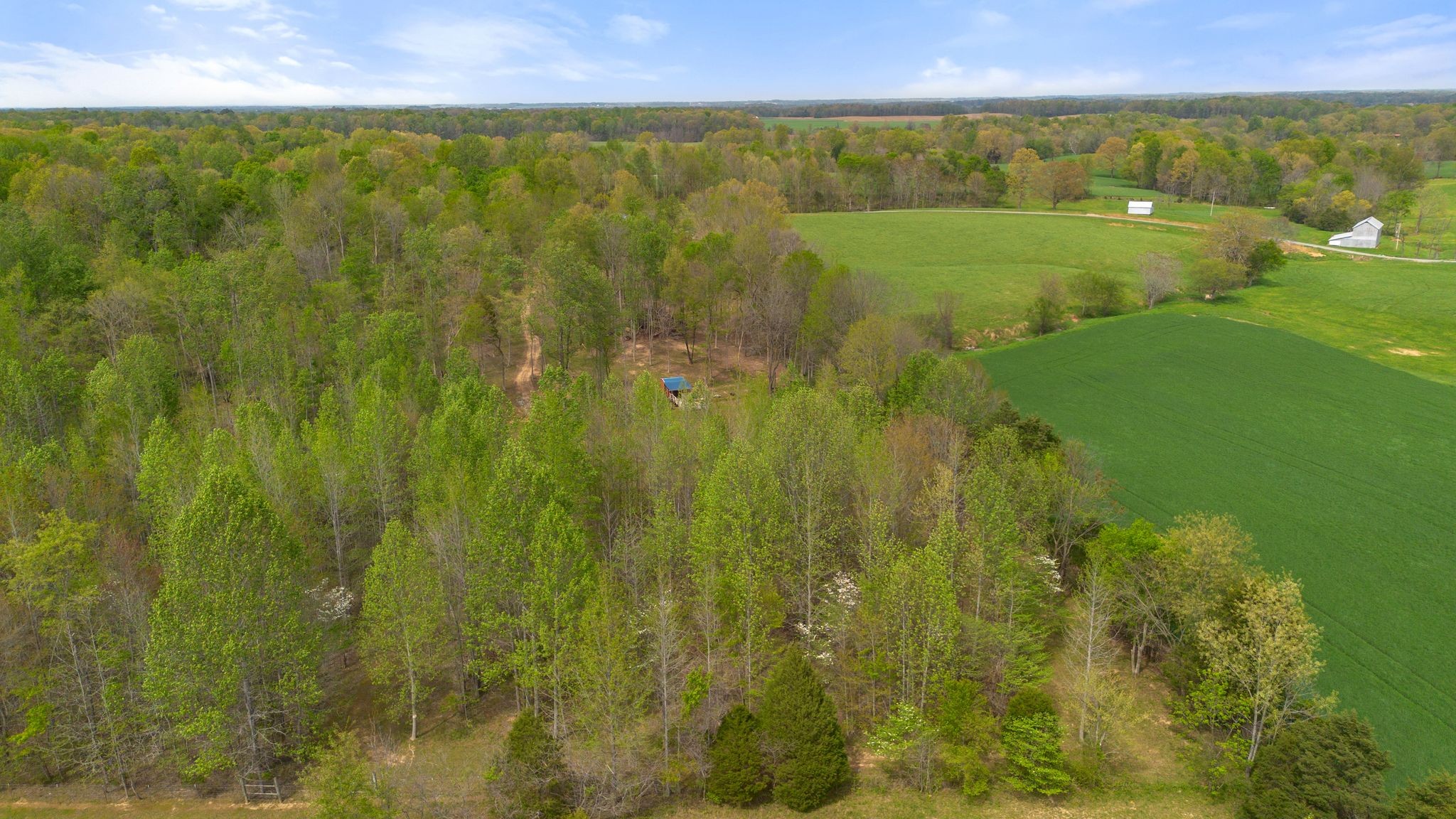 2636 Balthrop Road Pleasant View, TN 37146 - Photo 50 of 63 a view of an ocean and a yard