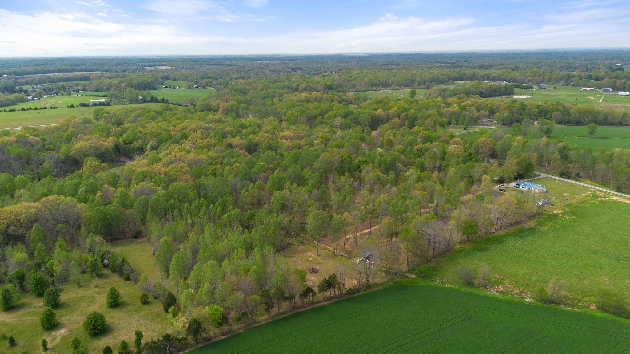 2636 Balthrop Road Pleasant View, TN 37146 - Photo 53 of 63 a view of a city with lush green forest