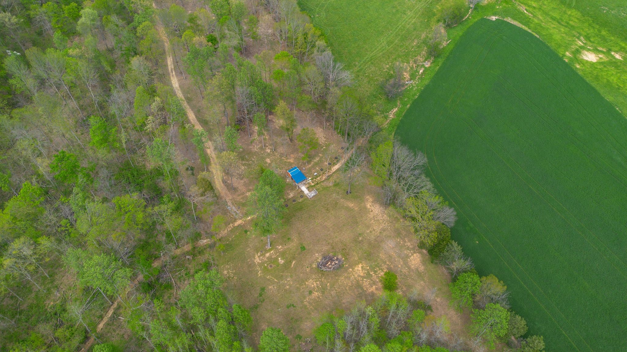 2636 Balthrop Road Pleasant View, TN 37146 - Photo 62 of 63