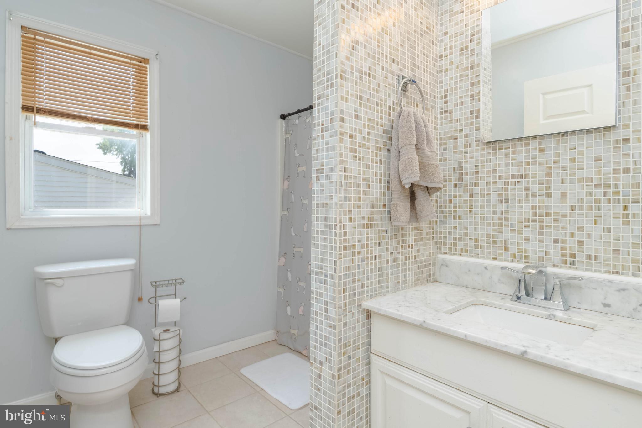 39 Terrace Road Essex, MD 21221 - Photo 10 of 46 PRIMARY SUITE FULL BATH