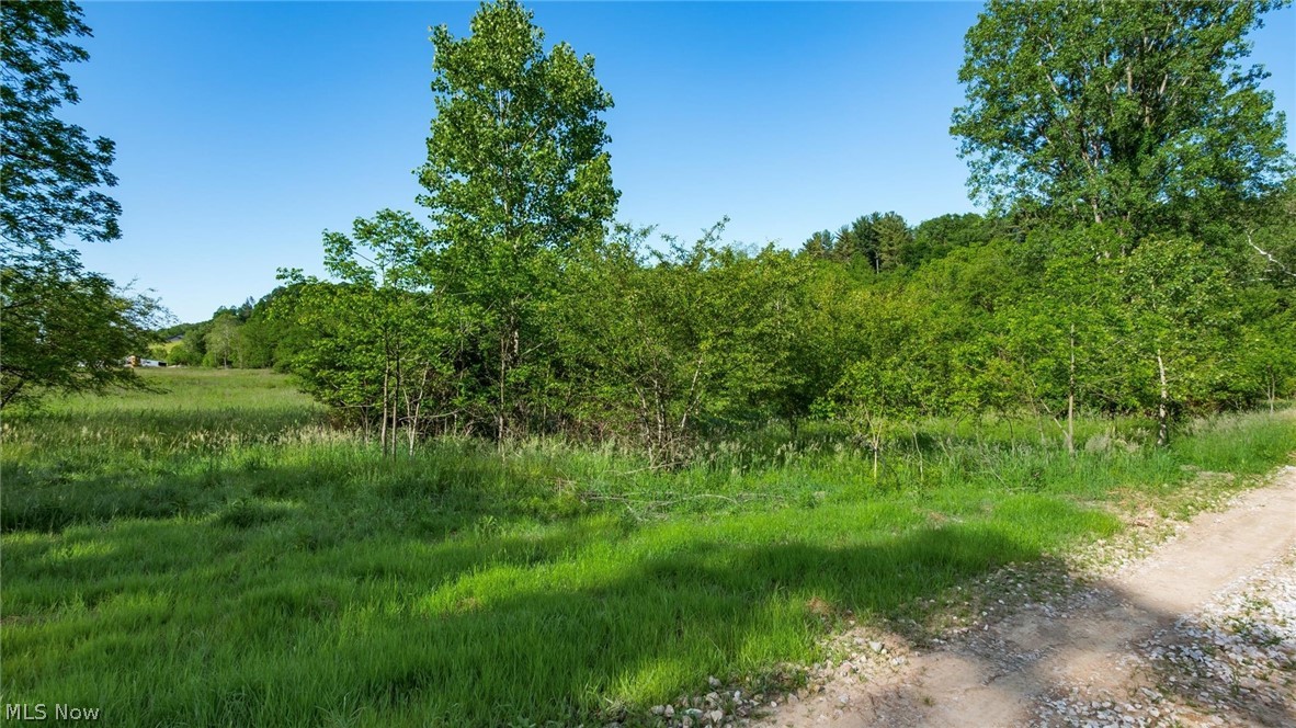 5911 Reform Road Northeast Newark, OH 43055 - Photo 4 of 19 Expansive natural landscape featuring lush green grass and mature trees