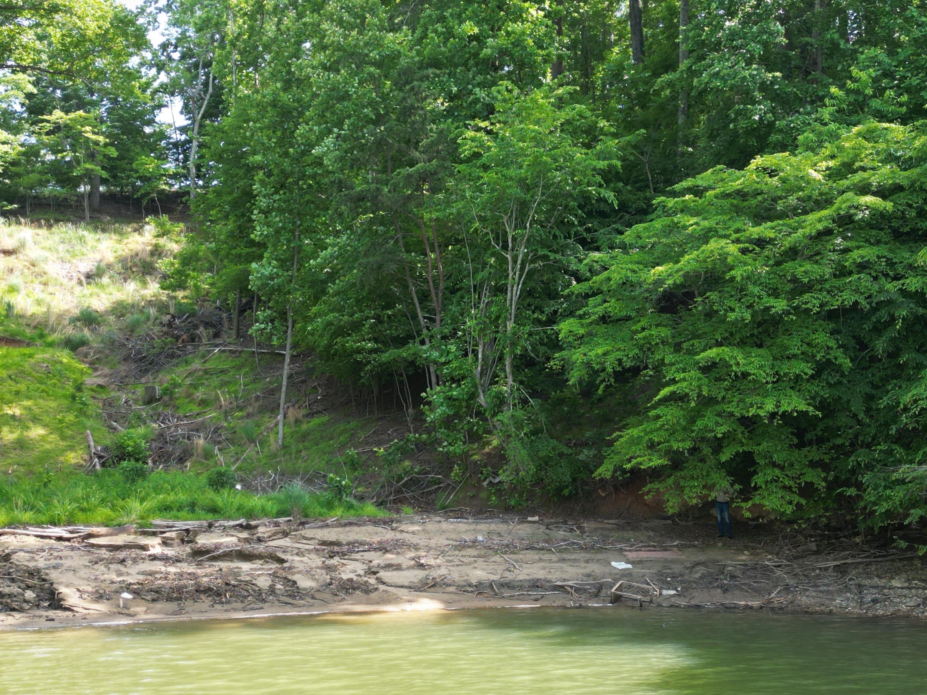 0 Ivy Lane Union Hall, VA 24176 - Photo 20 of 20 a view of a lake with trees