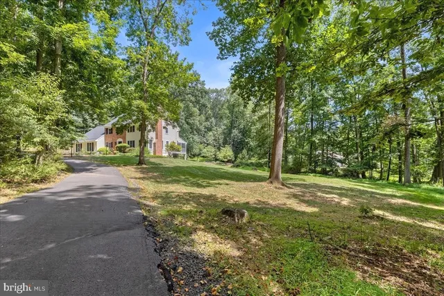 a view of a big yard with plants and large trees