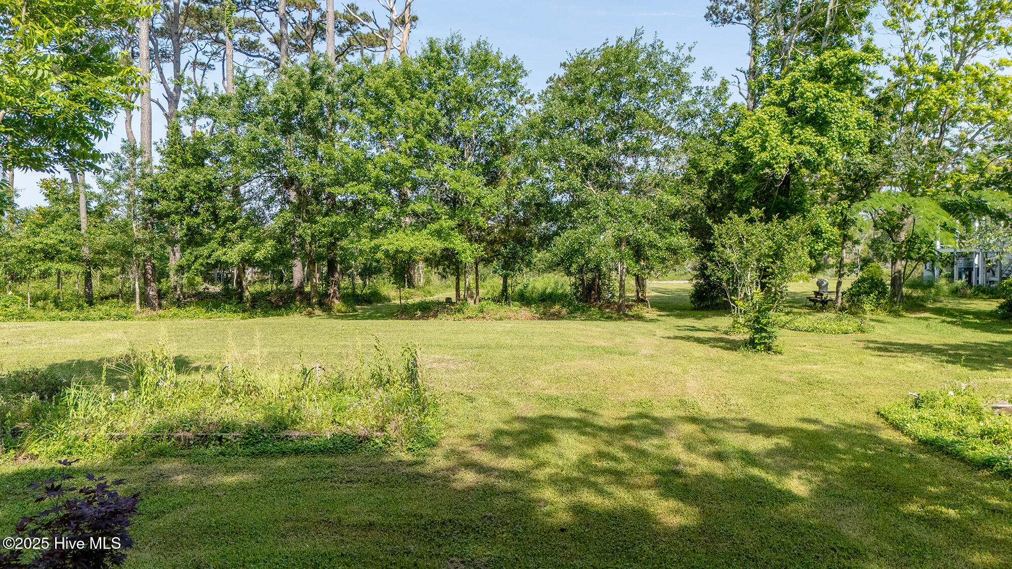 201 Star Church Road Marshallberg, NC 28553 - Photo 6 of 10 2 bedroom conventional septic installed