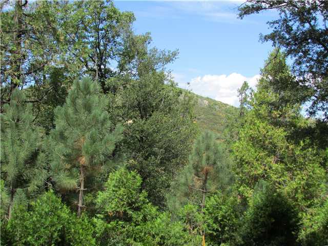 775 East Incense Cedar Road Julian, CA 92036 - Photo 24 of 25 View of nearby mountain. Cedar, pine and oak trees.