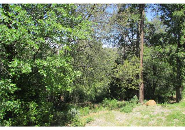 775 East Incense Cedar Road Julian, CA 92036 - Photo 25 of 25 Large oak and cedar trees.