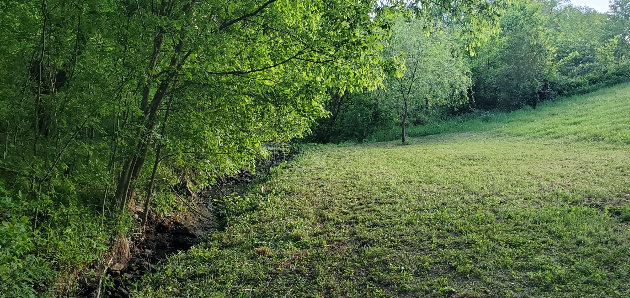 3247 Parsons Bend Road Columbia, TN 38401 - Photo 53 of 68 Gallery Image 53