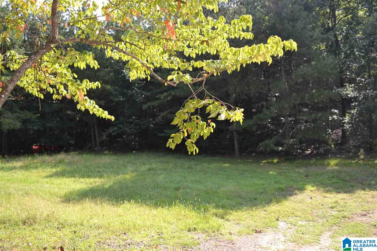 6 Pawnee Drive Pelham, AL 35124 - Photo 11 of 14
