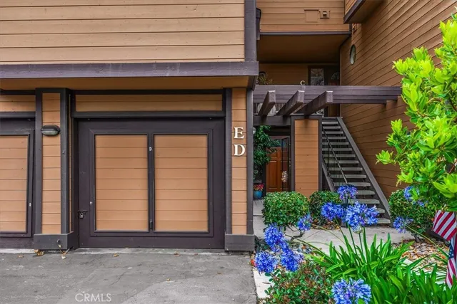 a potted plant is sitting in front of a house