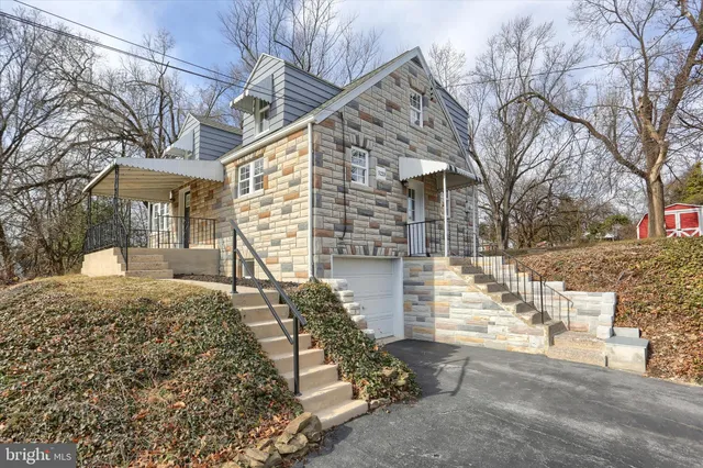 a view of a yard with plants and chair