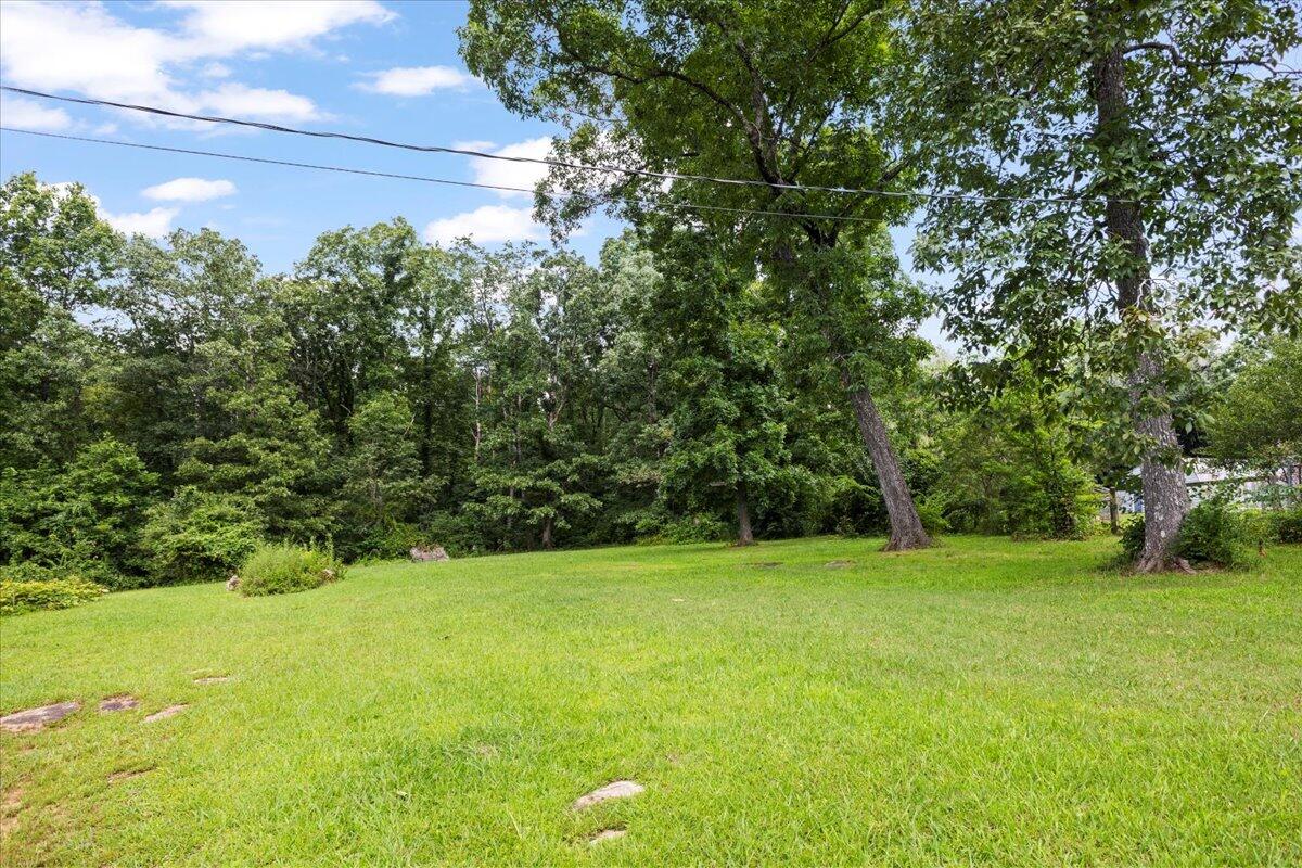 124 Scott Road Signal Mountain, TN 37377 - Photo 36 of 36 34-IMG_8061