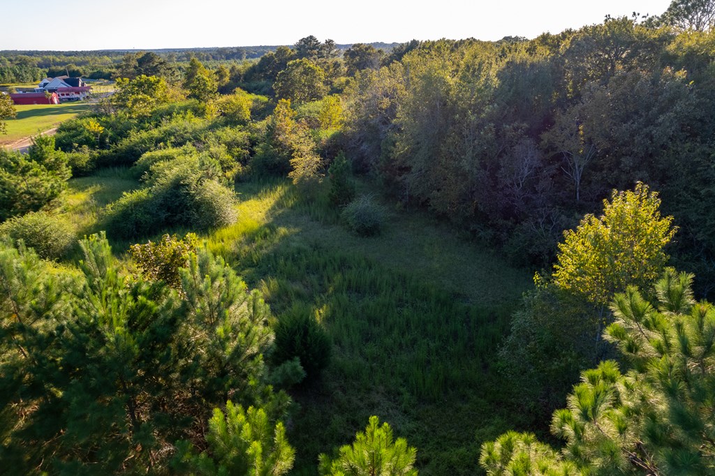 2226 Randall Wade Road Headland, AL 36345 - Photo 30 of 60