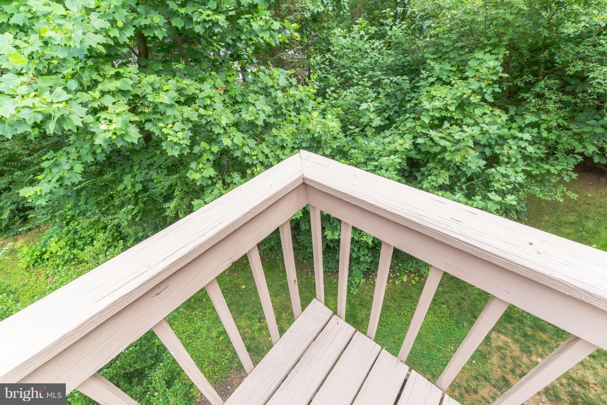 1247 Maple Road Arnold, MD 21012 - Photo 22 of 29 Deck overlooks landscaped, tree-lined private lot
