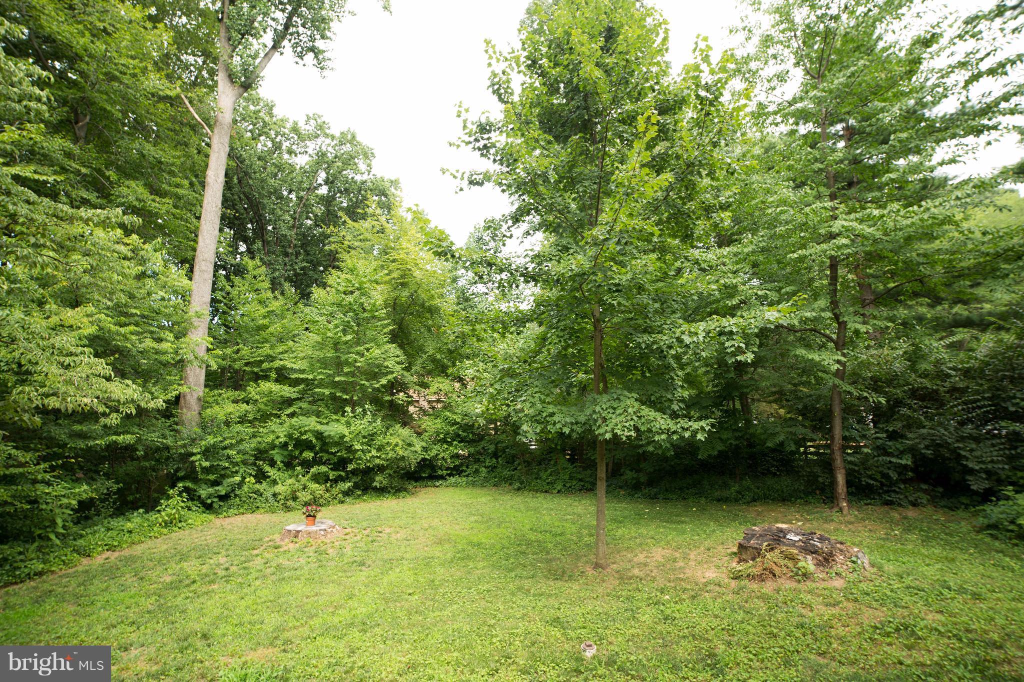1247 Maple Road Arnold, MD 21012 - Photo 26 of 29 Beautifully landscaped, private backyard setting