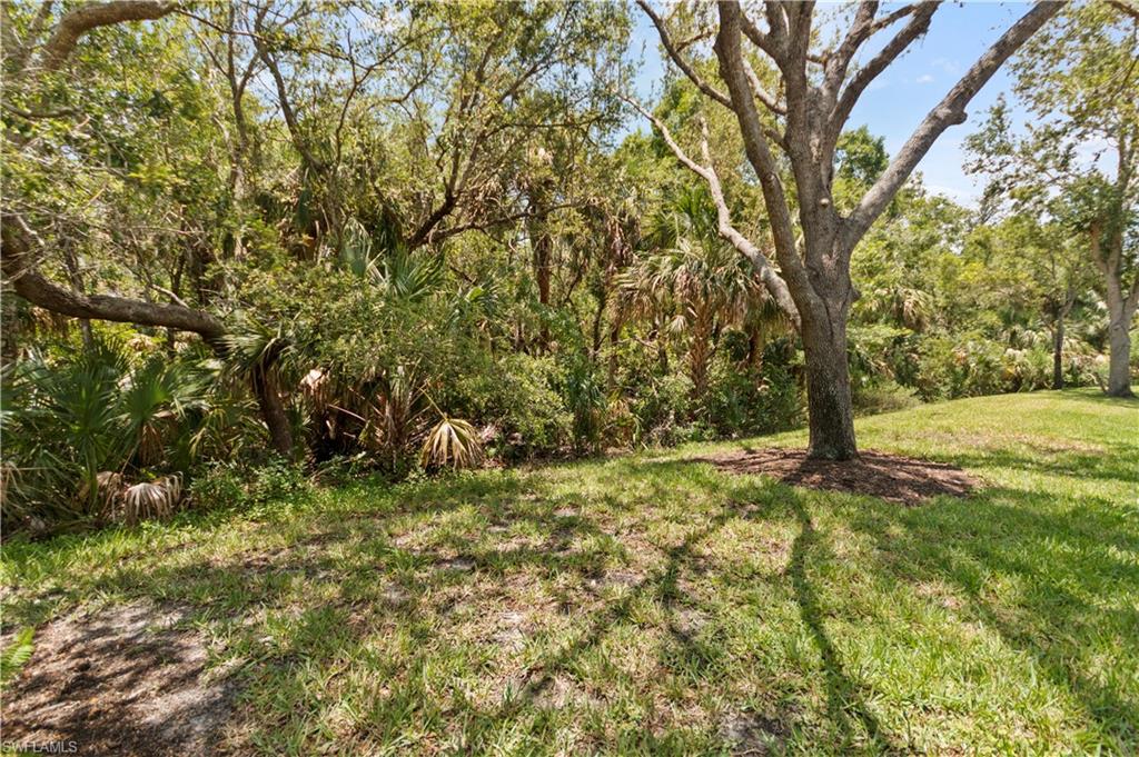 20451 Rookery Drive Estero, FL 33928 - Photo 39 of 44 a view of yard with trees