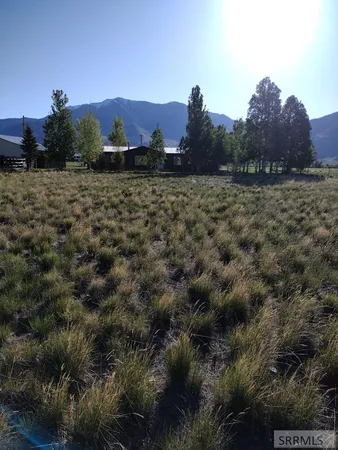 $485,585 | 3195 3350 West, Moore, ID 83255