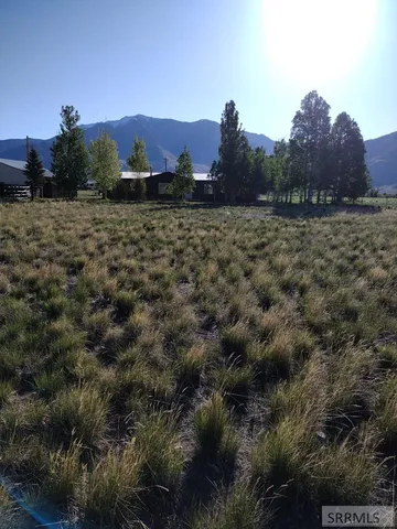 $485,585 | 3195 3350 West, Moore, ID 83255