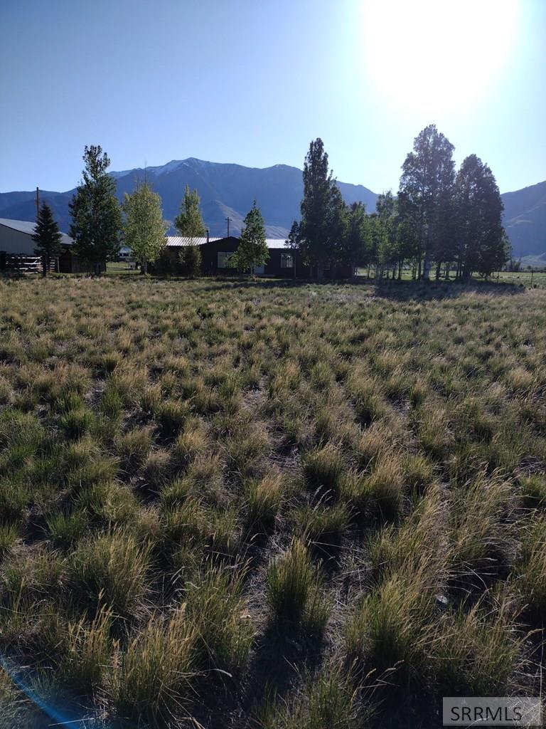 3195 3350 West Moore, ID 83255 - Photo 3 of 27