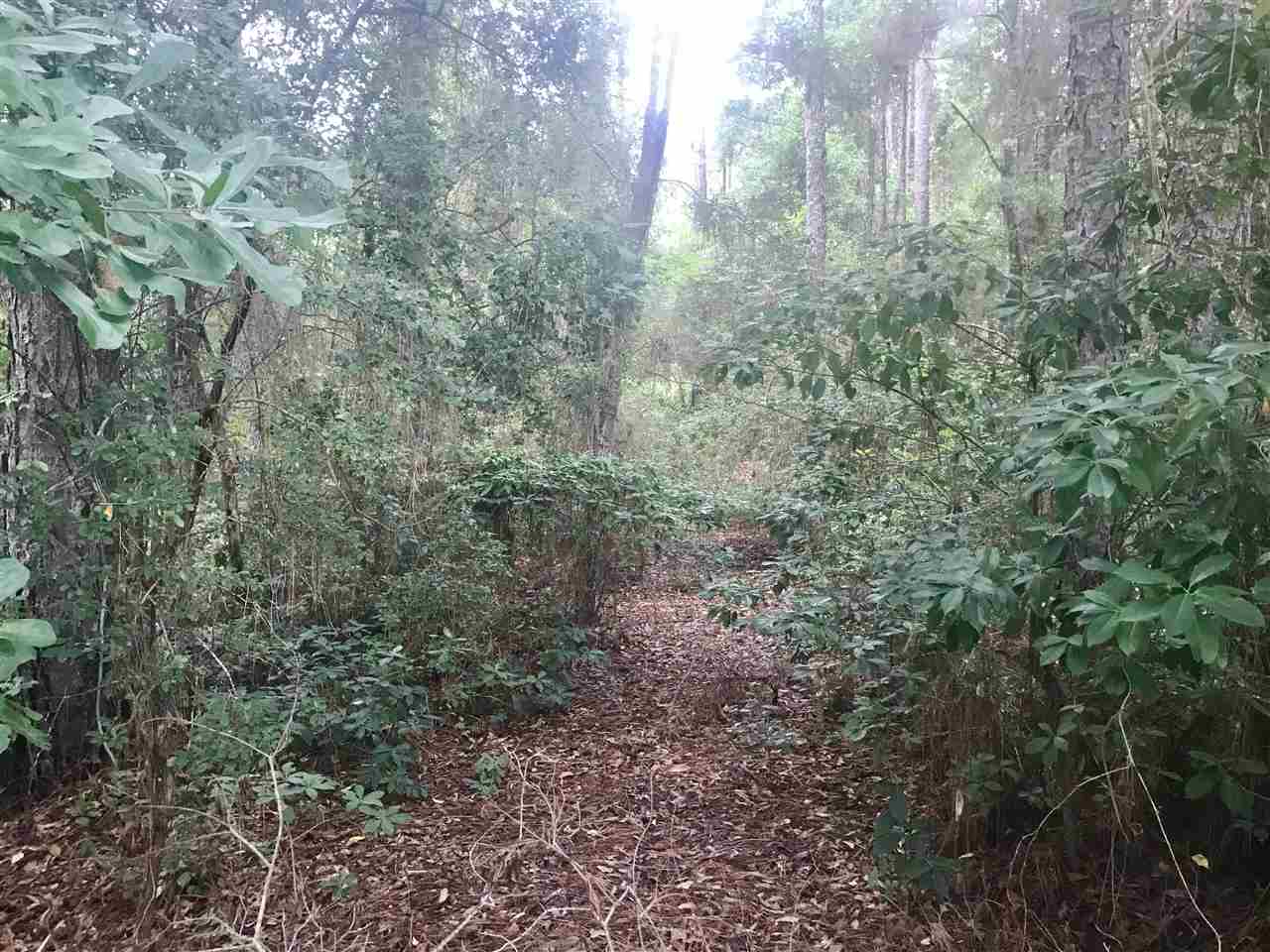 124 Meadow Wood Loop Daphne, AL 36526 - Photo 1 of 4